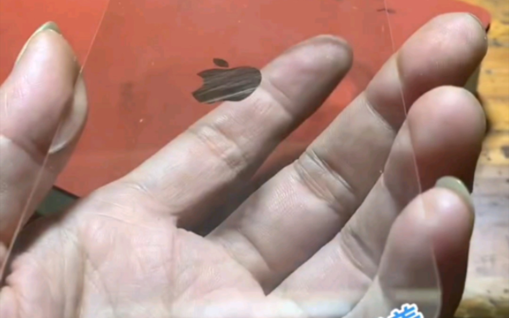 苹果探索版后盖图片苹果15pro概念机图片-第2张图片-太平洋在线下载