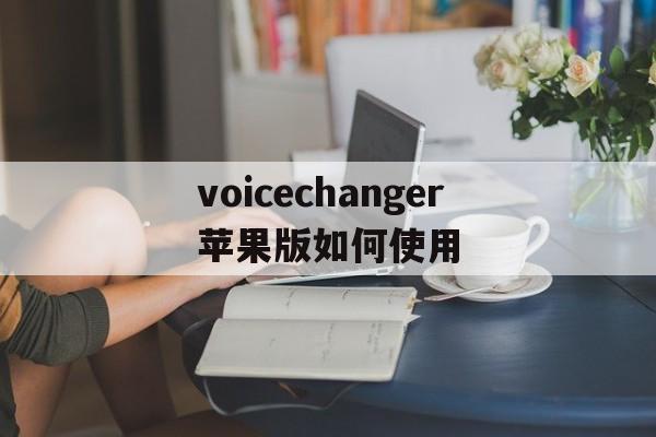 voicechanger苹果版如何使用(iphone的voice over在哪里)-第2张图片-有道翻译官网