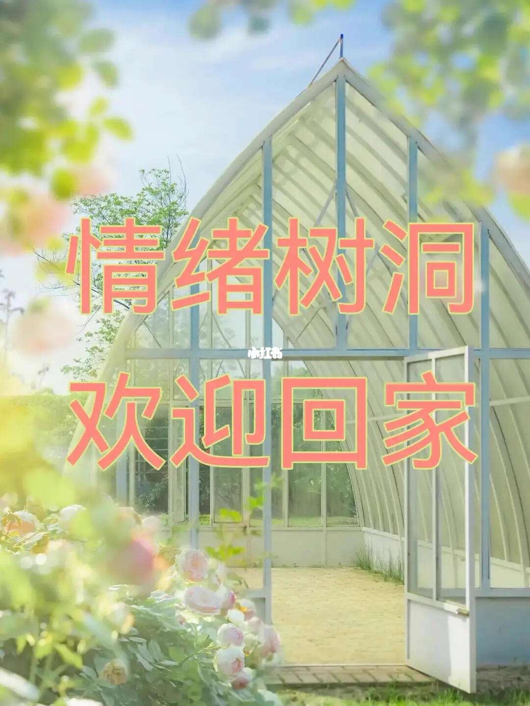 情绪树洞app苹果版(情绪树洞app苹果版官网)-第17张图片-有道翻译官网