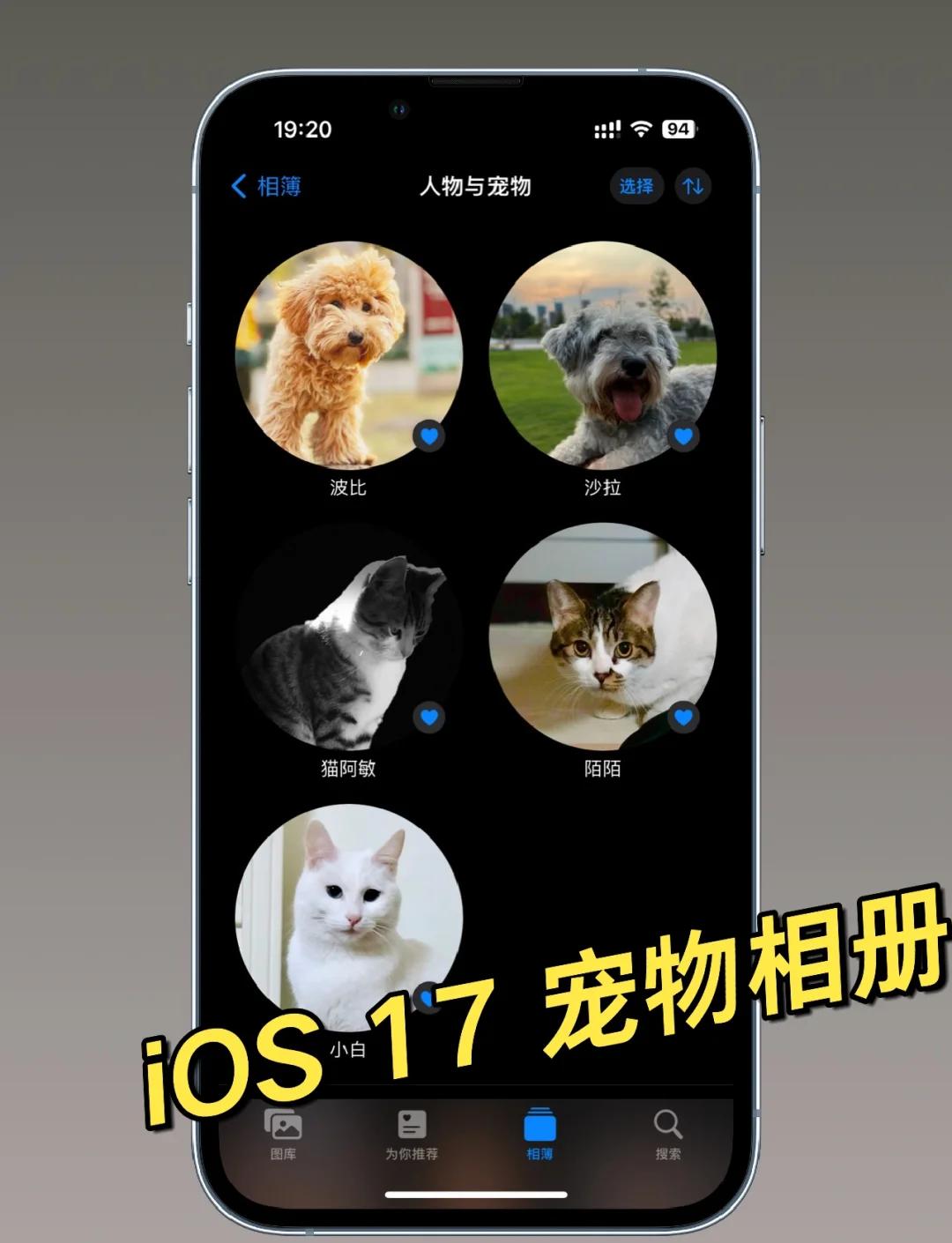 宠物记事app安卓版苹果版(宠物记录)